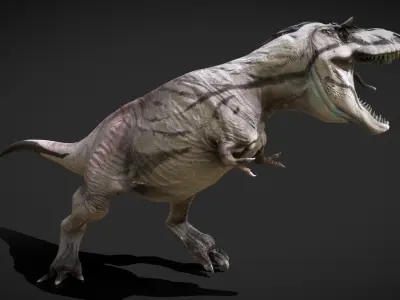 Albertosaurus The Swift Tyrant of the North Low-poly 3D model