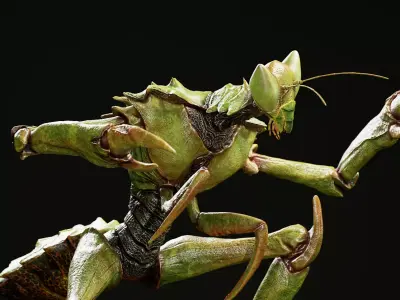 Insectoid Alien Humanoid  3D Character Low-poly 3D model