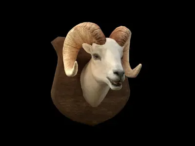 Ram Head - PBR - Textured Low-poly 3D model