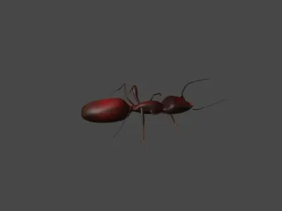 Low Poly Red Ant Low-poly 3D model