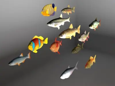 Essential Fish Model Collection Low-poly 3D model