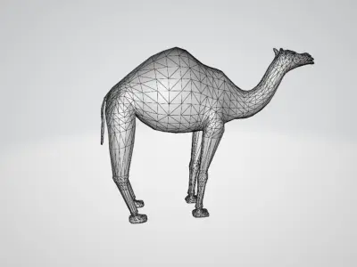 Camel Low-poly 3D model