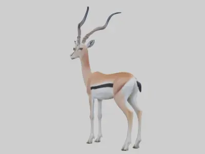 Soemmerrings gazelle Low-poly 3D model