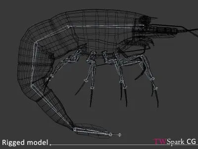 Low Poly Shrimp 3D model  Rigged Low-poly 3D model