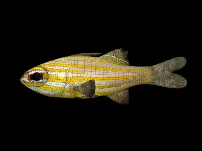 FISH-001 Striped Fish 3D model