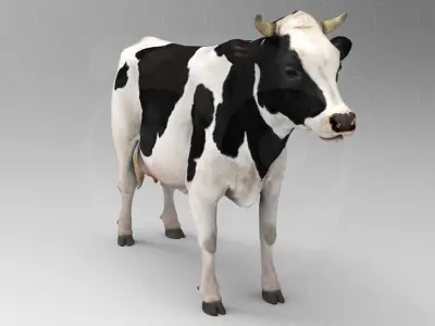 White Cow - Rigged - Animated 3D model