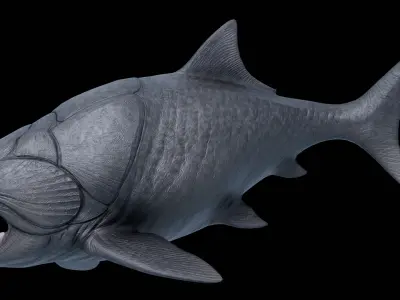 Dunkleosteus Asset Pack Low-poly 3D model