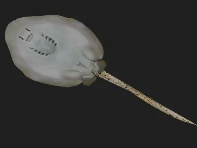 DiscusRay Low-poly 3D model