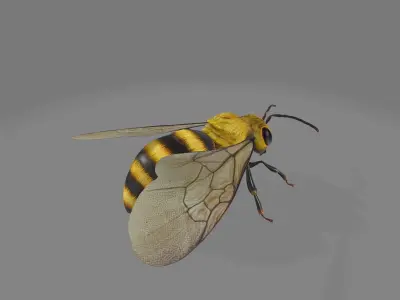 animated bee Low-poly 3D model