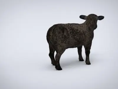 BLACK SHEEP Low-poly 3D model