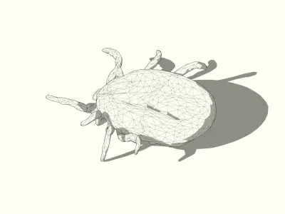 Big Tick Low-poly 3D model