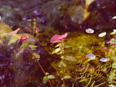 Flower plants Free 3D model