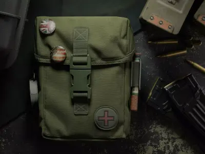 pouch medical military bug Low-poly 3D model