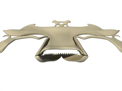 Hammerhead Shark Skull 3D model