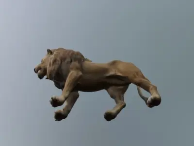 A lion 3D model