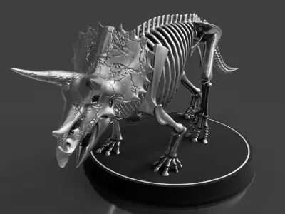 Silver Triceratops Skeleton for Visualization 3D model