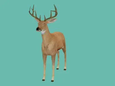 lowpoly deer 3d 3D model