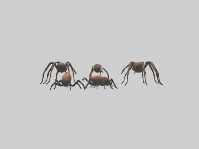Creepycrawlies Model  Low-poly 3D model