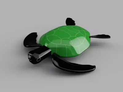 3D Turtle Free 3D print model