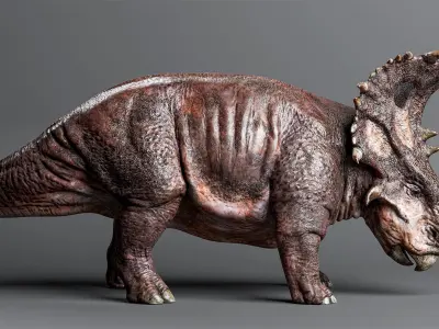 SINOCERATOPS Low-poly 3D model