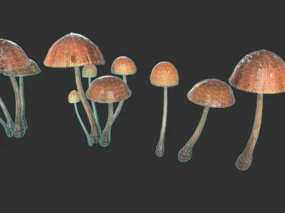 Generic Mushrooms Low-poly 3D model