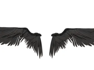 angel wings 3D model