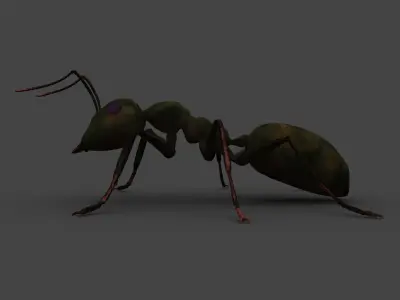 ANTS-002 Rigged Black Ant Low-poly 3D model