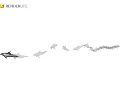 Dolphin with animation 3D model