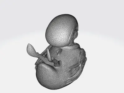 Xenomorph duck 3d model Low-poly 3D model