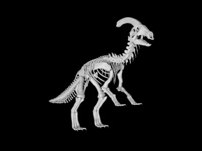 Parasaurolophus skeleton Low-poly 3D model