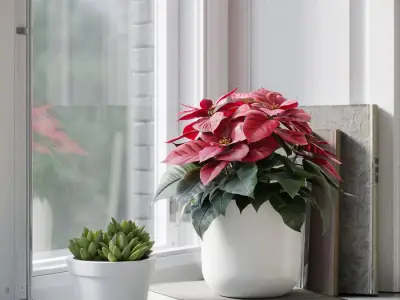  Poinsettia Plant Model 
