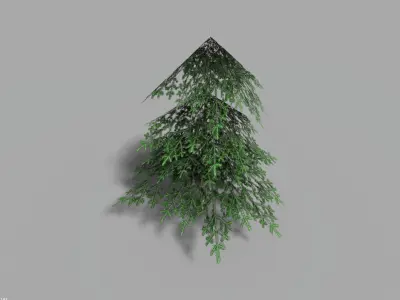 low poly pine 1 tree Low-poly 3D model