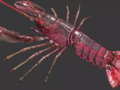 Homarus americanus lobster Low-poly 3D model