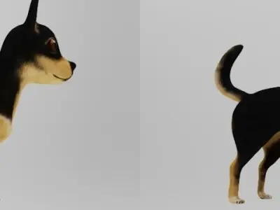 DOG CHIHUAHUA Low-poly 3D model