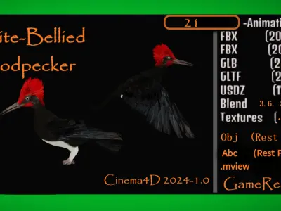 White Bellied Woodpecker Bird Low-poly 3D model