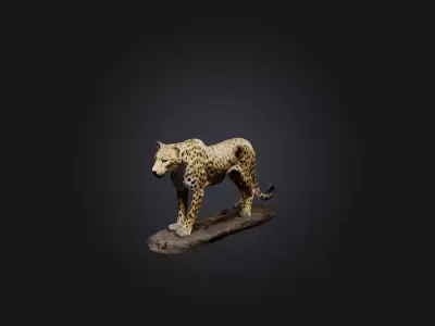 Realistic Wounded Leopard Model Low-poly 3D model
