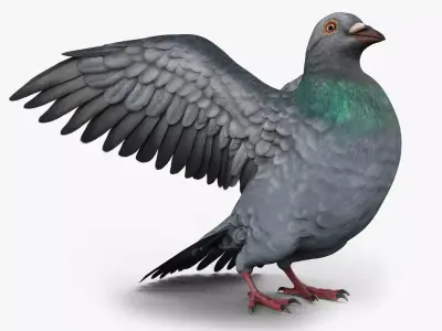 Pigeon Game Ready with wings spread Low-poly 3D model