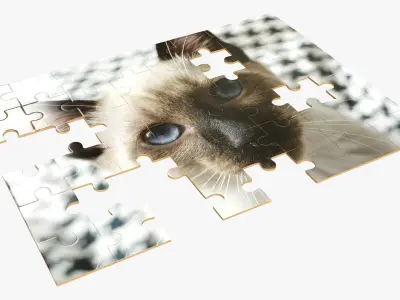 48-piece jigsaw puzzle Free 3D model