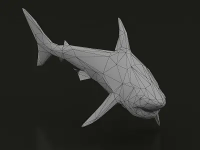 Low Poly Great White Shark Low-poly 3D model