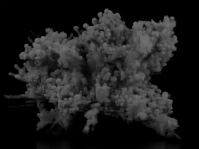 Grenade Explosion 3D model