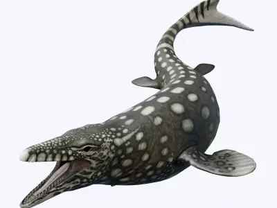 Mosasaurus Asset Pack Low-poly 3D model