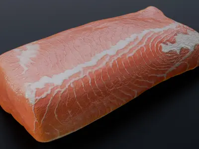 Salmon Steak 3D model
