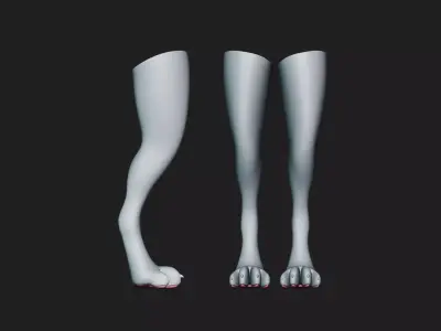 Digitigrade Anthro Legs and Paws 3D model