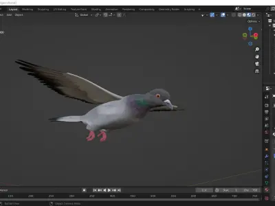Realistic flying Pigeon - LOOP FLIGHT animations Low-poly 3D model
