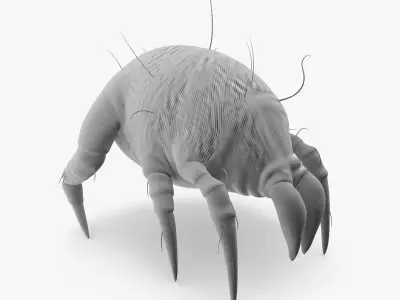 Dust Mite 3D model