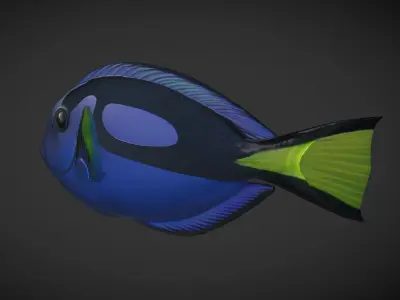 Fish Paracanthurus hepatus 1 Low-poly 3D model