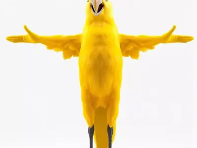 Yellow Parrot Character with Red Shoes Rigged and Animated Model Low-poly 3D model