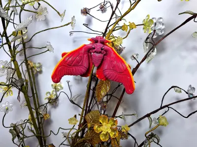 Realistic Atlas moth 3D print model