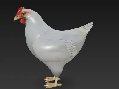 Chicken 3D Model Basic - Low Poly Simple Low-poly 3D model