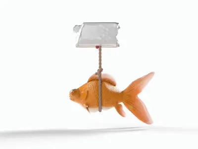 Orange gold fish bladder issue Low-poly 3D model